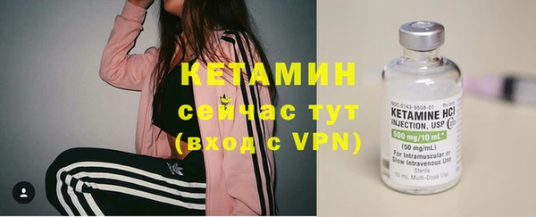 ГАЛЛЮЦИНОГЕННЫЕ ГРИБЫ Бородино
