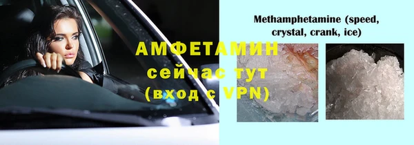 ГАЛЛЮЦИНОГЕННЫЕ ГРИБЫ Бородино