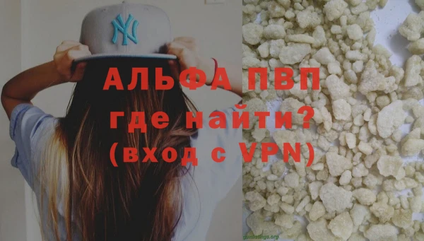 ГАЛЛЮЦИНОГЕННЫЕ ГРИБЫ Бородино